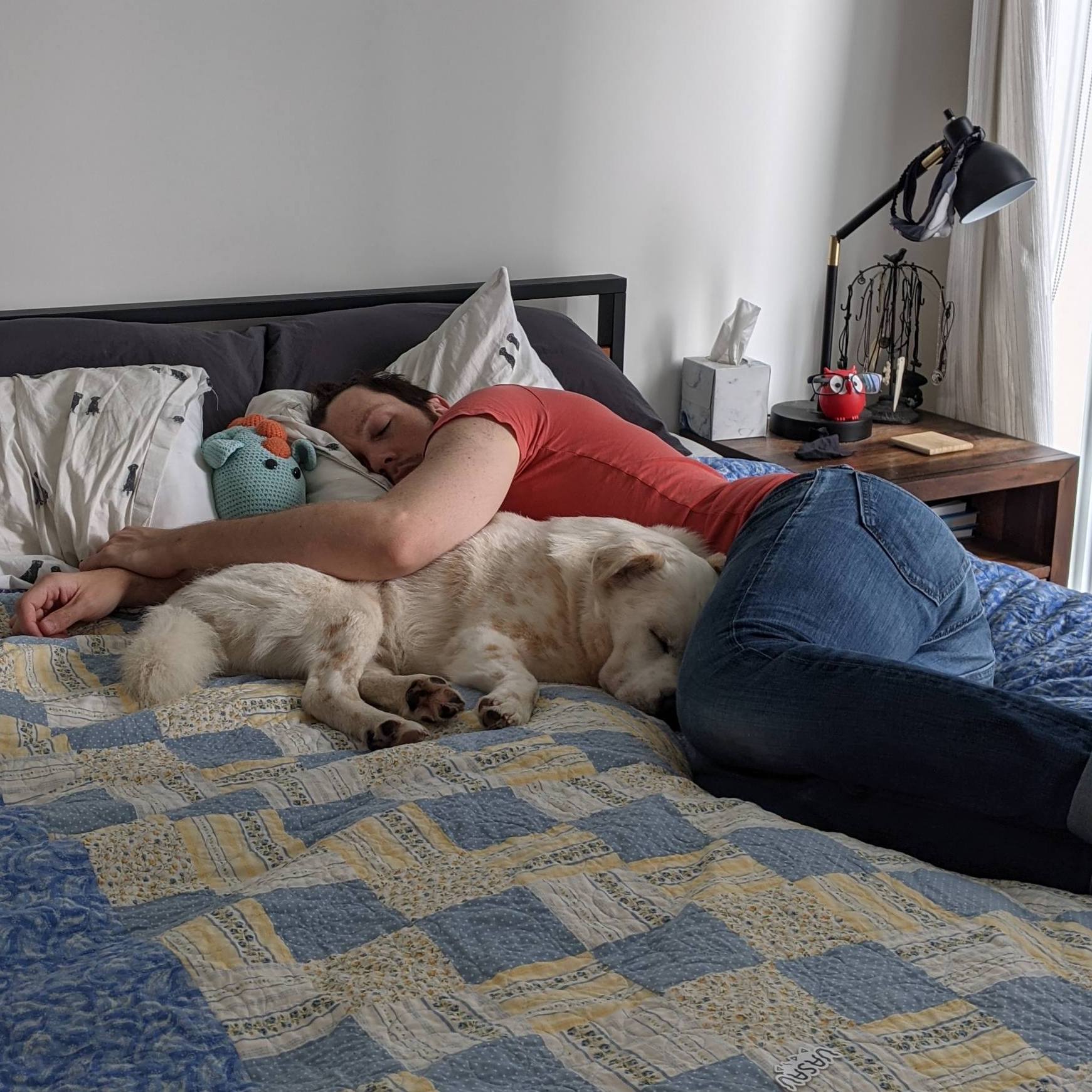 person and dog cuddling on a bed